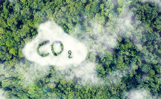 CO2_Wolke_über_Wald
